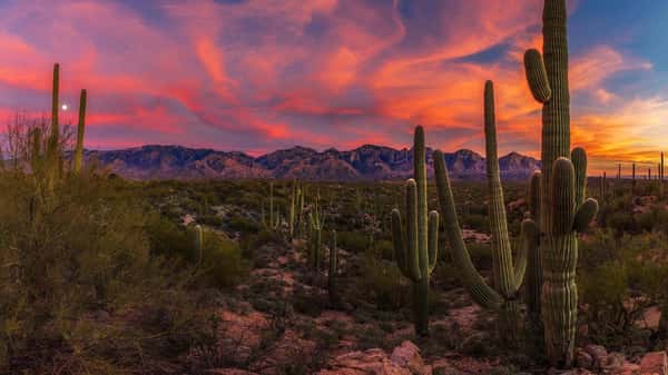 Assisted Living in Coconino County, AZ