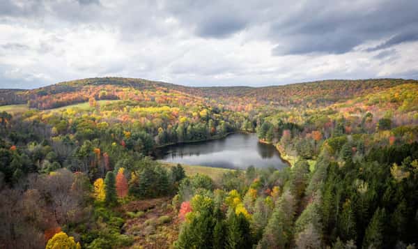 Memory Care in Vestal, NY