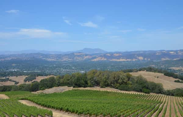 Memory Care in Santa Rosa, CA