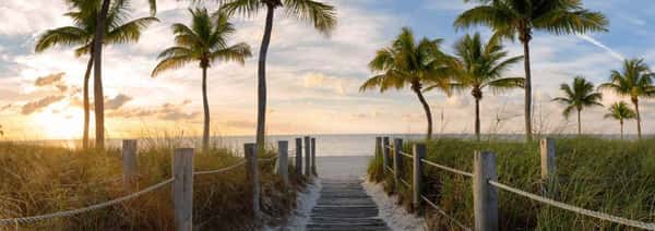 Assisted Living in Valrico, FL