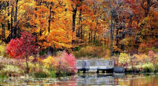 Assisted Living in Lake County, IL