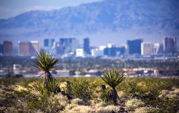 Home Care in Clark County, NV