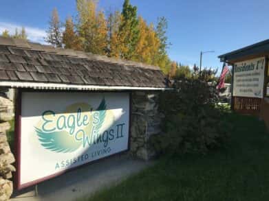 Eagle Wings II