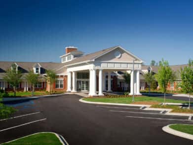 Palmettos of Parklane