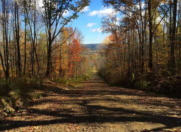 Nursing Homes in Allegany County, NY