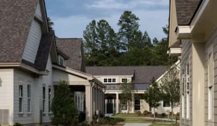 Camellia Place