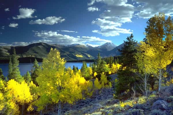 Independent Living in Fort Collins, CO