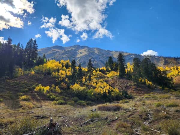 Nursing Homes in Juab County, UT
