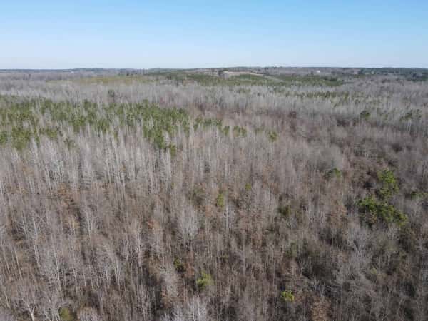 Nursing Homes in Nevada County, AR