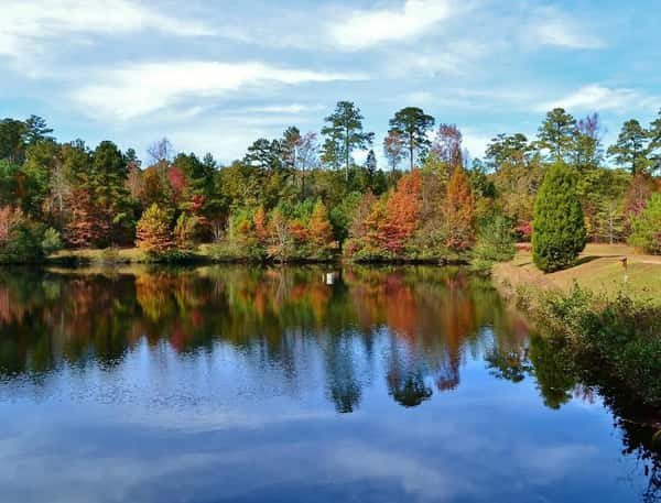 Memory Care in Clemmons, NC