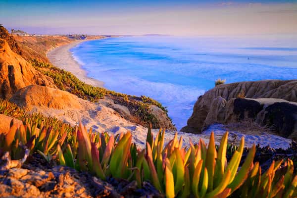 Nursing Homes in California