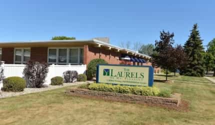 Laurels of Mt Pleasant