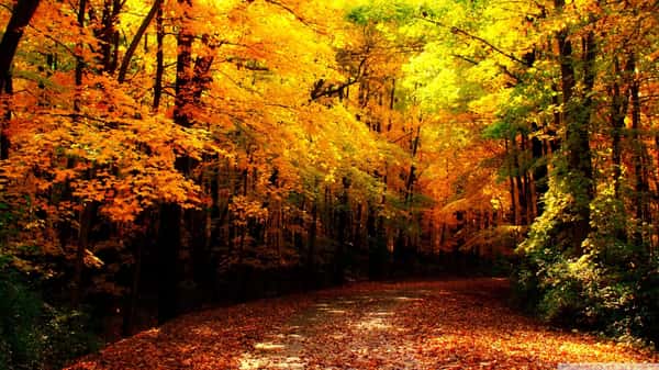 Nursing Homes in Beaver Dam, WI