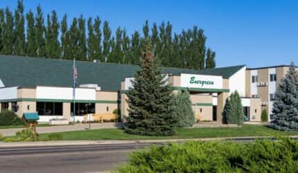 Evergreen in Dickinson
