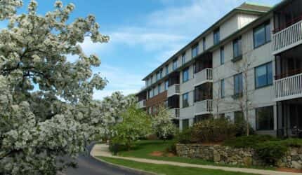 Orchard Cove