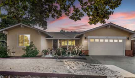 Safe Haven – Sunnyvale