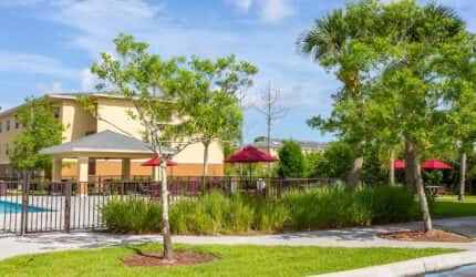 Heron Pond I