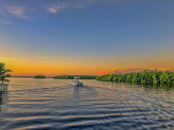 Senior Living in Brandon, FL