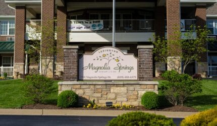 Magnolia Springs Lexington