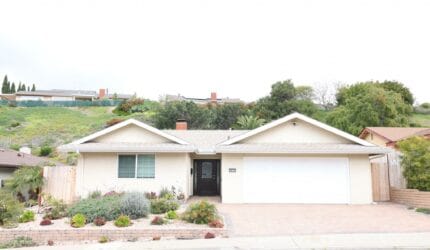 Palm View Home