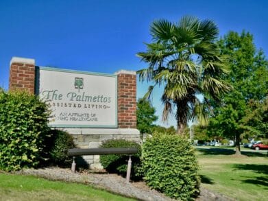 The Palmettos