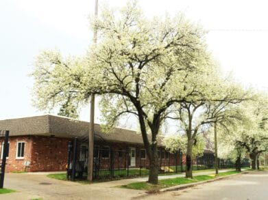 The Vernon Center