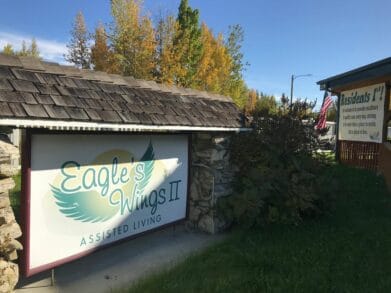 Eagle Wings II