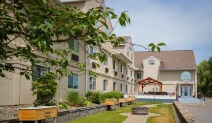 Manor on the Hill