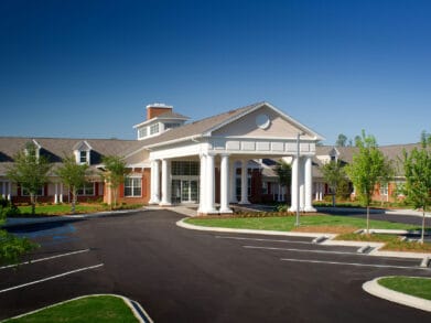 Palmettos of Parklane