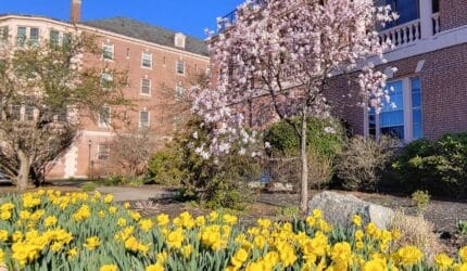 Pleasant View Center