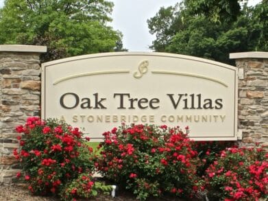 Oak Tree – ALF