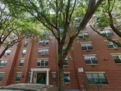 Ridge Street Gardens