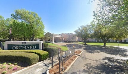 The Orchards