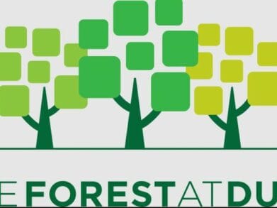Forest at Duke