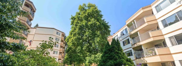 A garden view from Cristwood's central courtyard