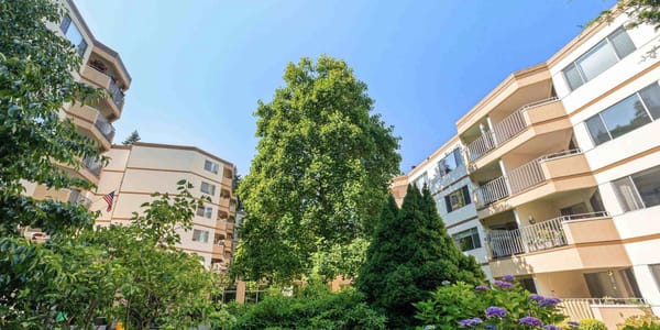A garden view from Cristwood's central courtyard