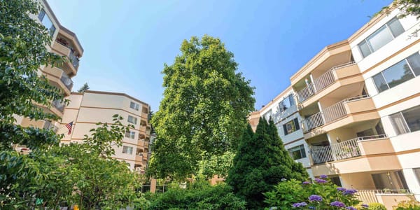 A garden view from Cristwood's central courtyard