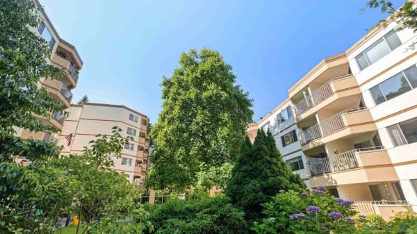 A garden view from Cristwood's central courtyard