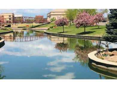 FirstLight Home Care of Colorado Springs