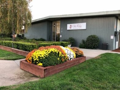 Oak Ridge Healthcare Center