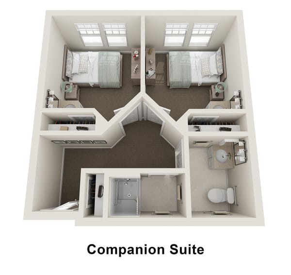 Companion Suite