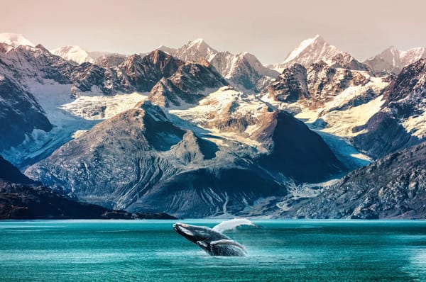 Assisted Living in Alaska