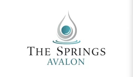 The Springs of Avalon