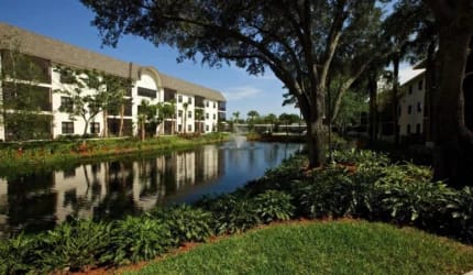 Buena Vida Estates