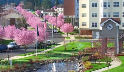 CherryWood Village