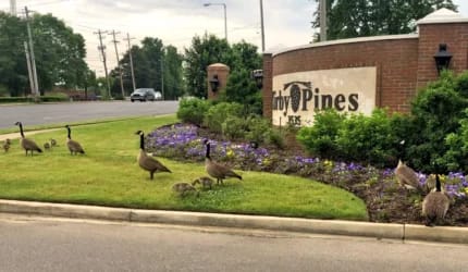Kirby Pines LifeCare Community