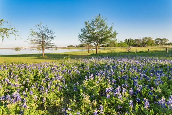 Independent Living in Lewisville, TX