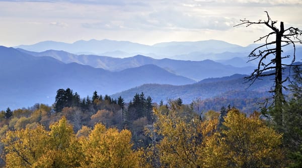 Assisted Living in Clemmons, NC