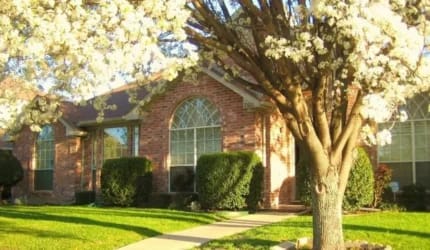 Sophya‘s Assisted Living