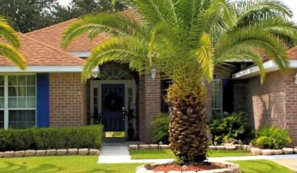 Therapeutic Assisted Living